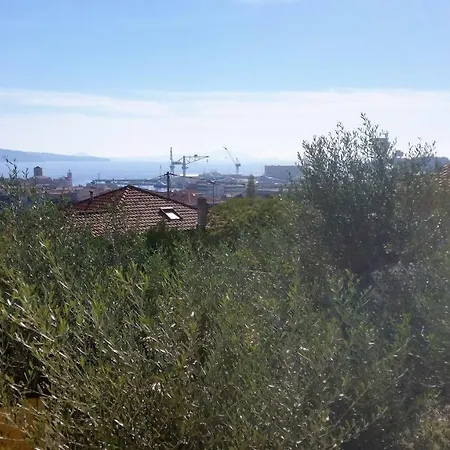 Le Cedre Bleu Nyaraló La Ciotat