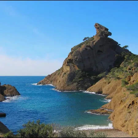 Le Cedre Bleu *