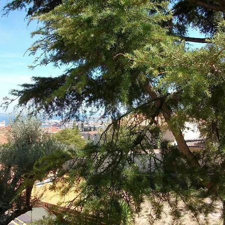 Le Cedre Bleu Holiday home